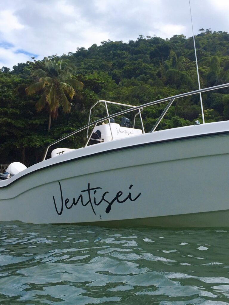 Wellcraft 22 – Ventisei I