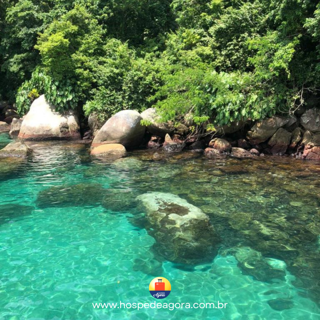 Avante 190 – Viva a Vida