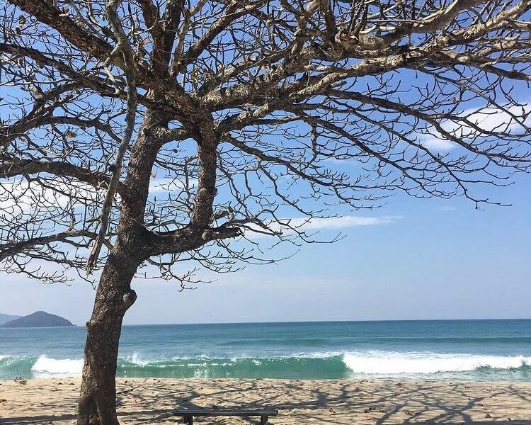 Lancha Mares 45, Roteiro Norte