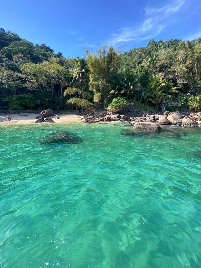 Avante 190 – Viva a Vida