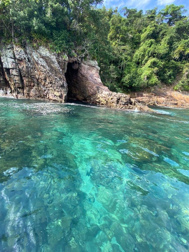 Avante 190 – Viva a Vida