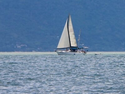 Velamar 45 – Cavalo Marinho