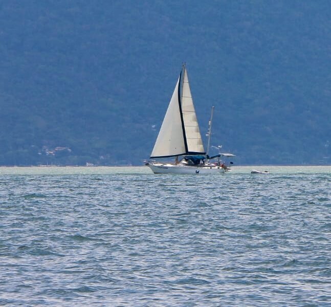 Velamar 45 – Cavalo Marinho