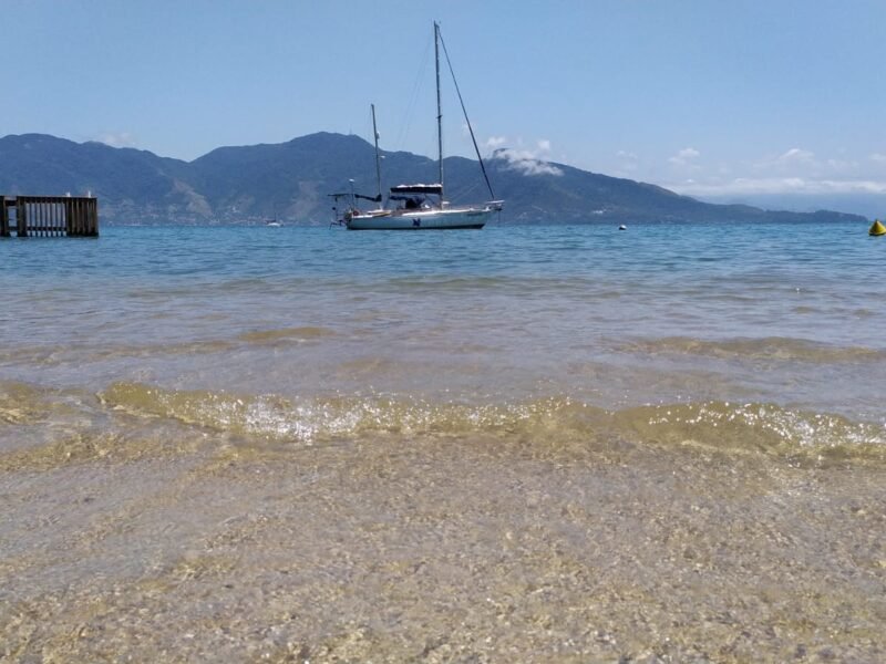 Velamar 45 – Cavalo Marinho