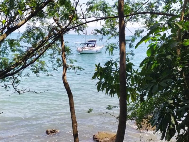Velamar 45 – Cavalo Marinho