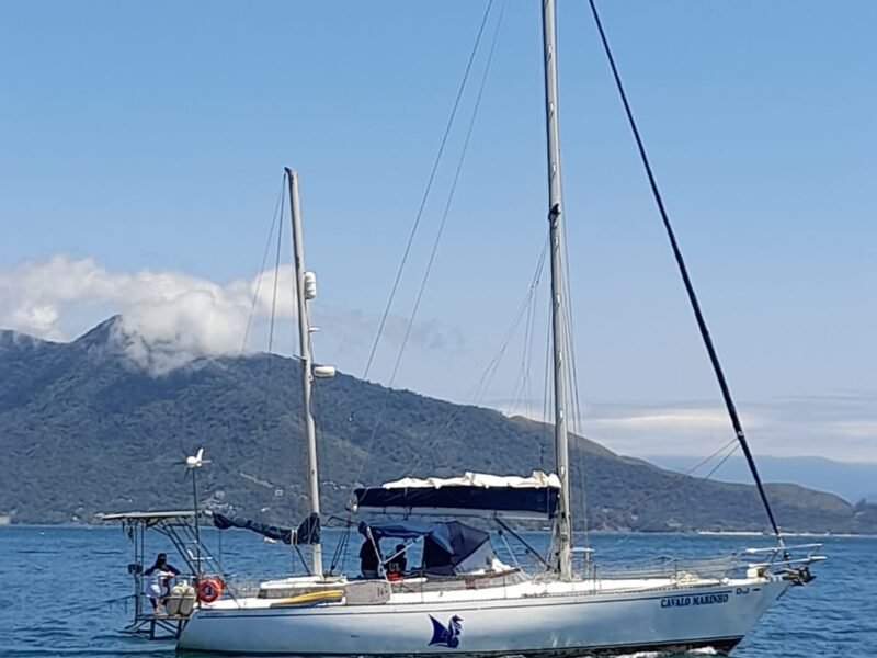 Velamar 45 – Cavalo Marinho