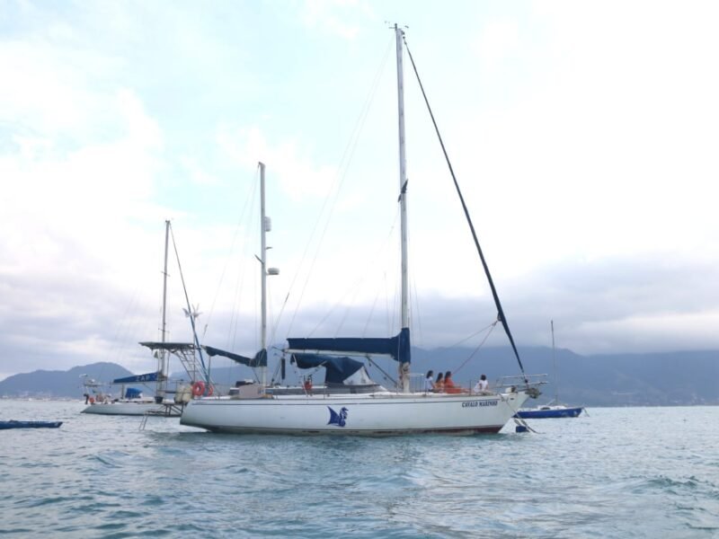 Velamar 45 – Cavalo Marinho