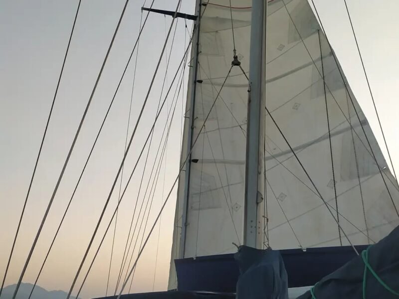 Velamar 45 – Cavalo Marinho