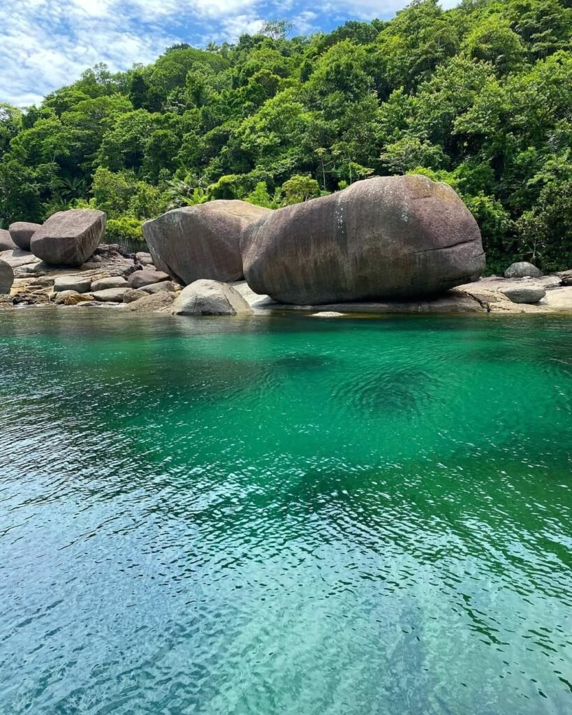 Phantom 500F – Black Pearl