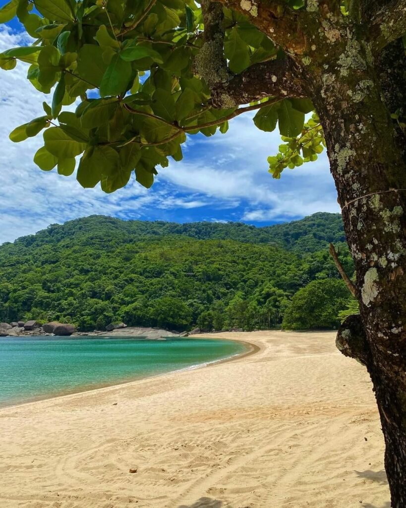 Phantom 500F – Black Pearl