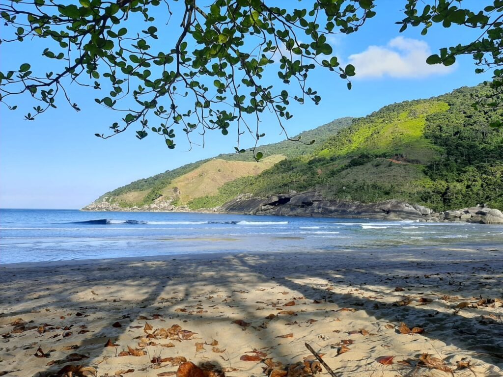 Phantom 500F – Black Pearl