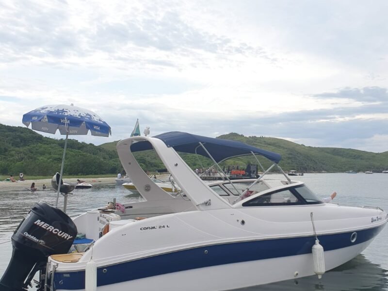 Coral 240, Roteiro 2