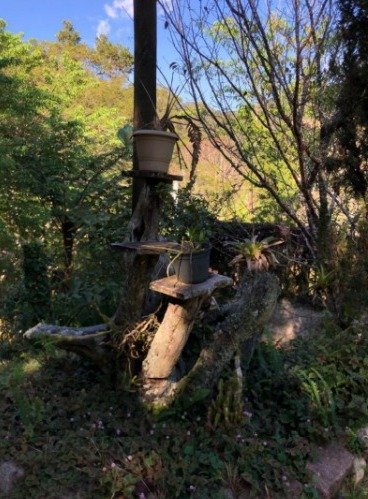 Casa em Santo Antônio do Pinhal, Ótima área verde