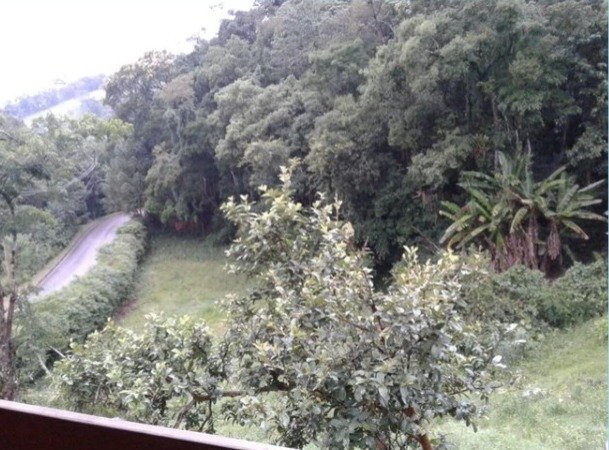 Chalé Juca