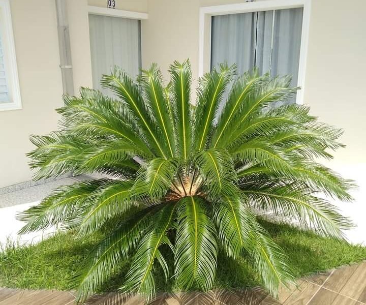 Apartamento Maranduba III