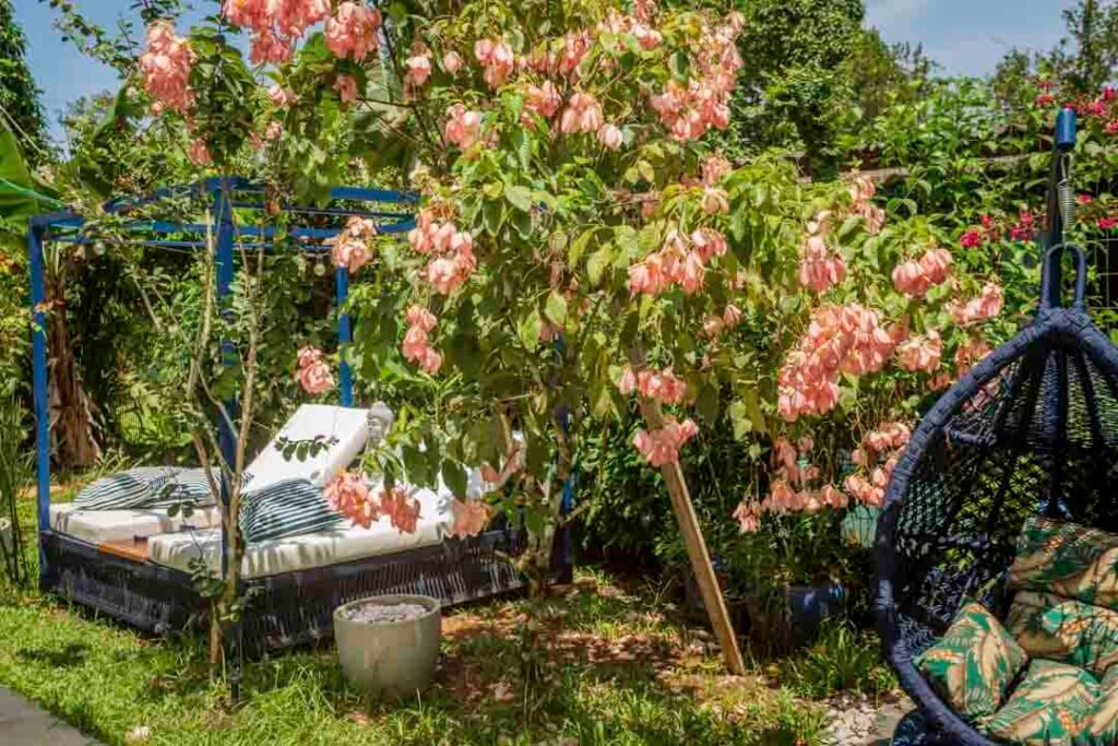 Pousada Paraíso Almada - Vermelha do Norte