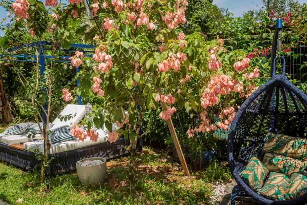 Pousada Paraíso Almada - Suíte Almada