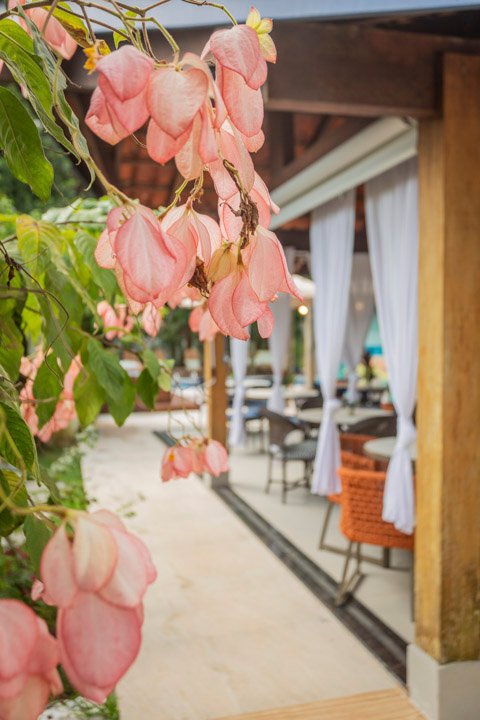 Pousada Paraíso Almada - Suíte Prumirim