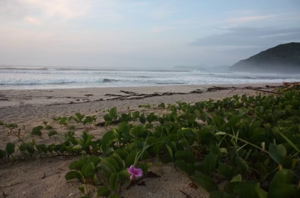 Blue House Itamambuca